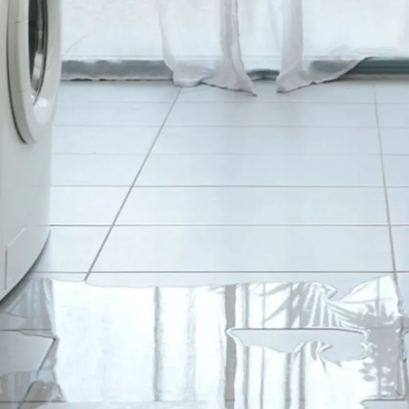 Appliance Leak Cleanup in Jackson County, KS