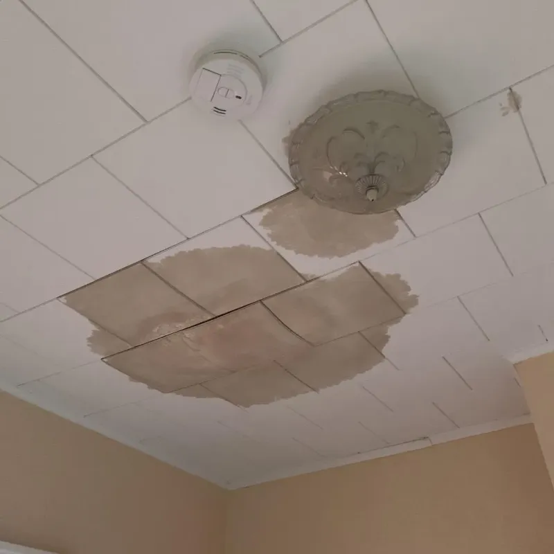 Ceiling Water Damage Repair in Jackson County, KS