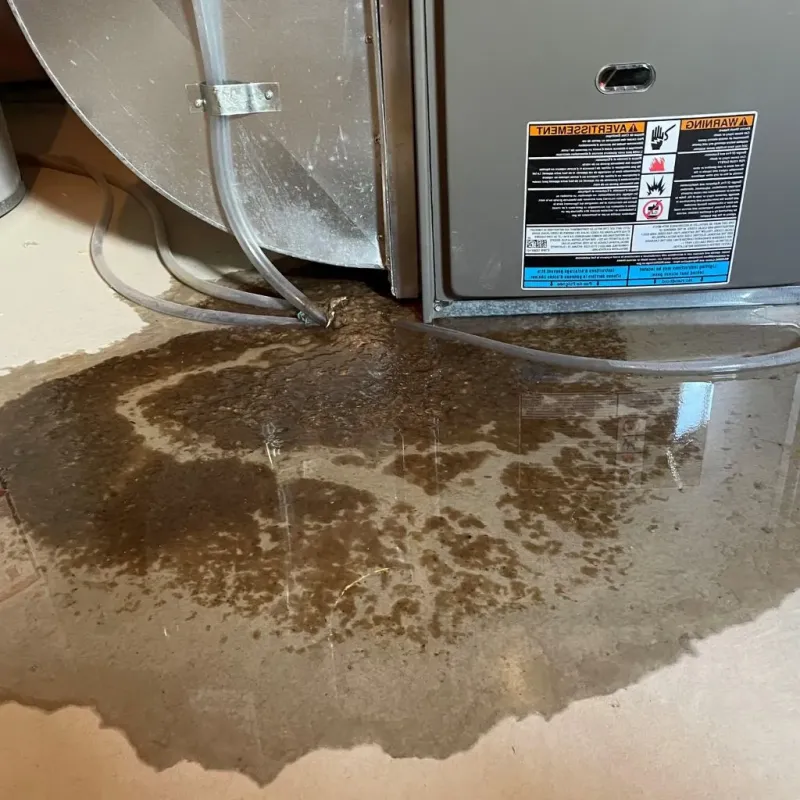 Pipe Burst and Leak Restoration in Jackson County, KS