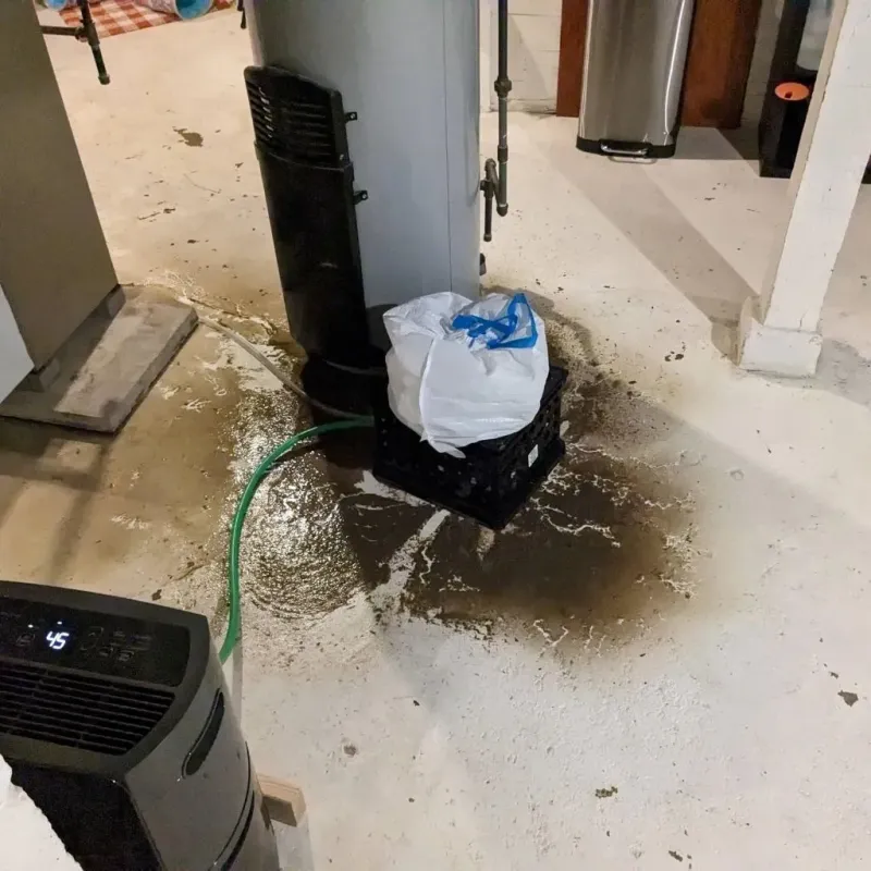 Sewage Backup Cleanup Service in Jackson County, KS